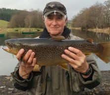 swanswater trout