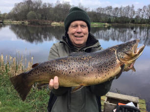 Swanswater Brown Trout