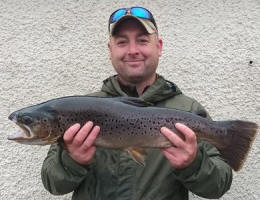 Swaswater Trout