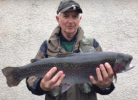 Swanswater Trout