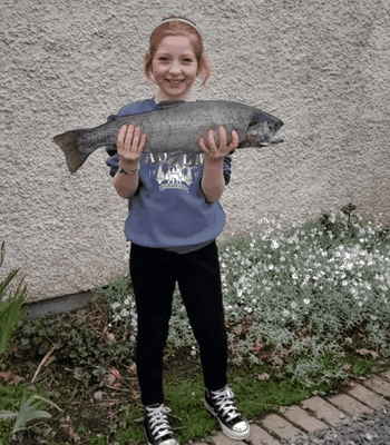 Swanswater Trout