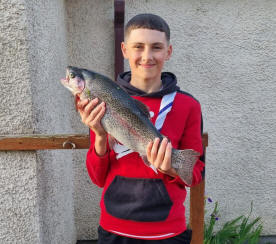 Swanswater Trout