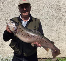 Swaswater Brown Trout