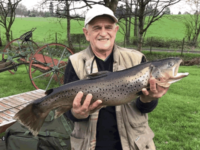 Swanswater Trout